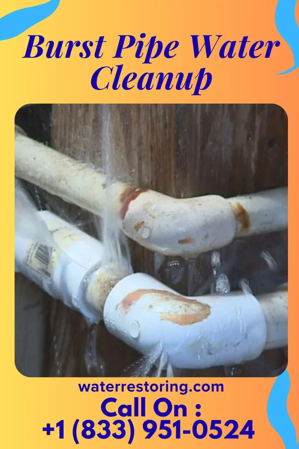 Burst Pipe Water Cleanup in Sharpsburg, IA