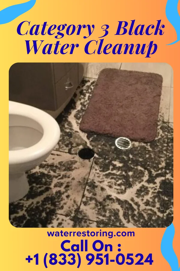 Category 3 Black Water Cleanup in Sharpsburg, IA